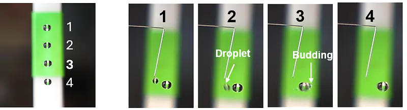 APGC process