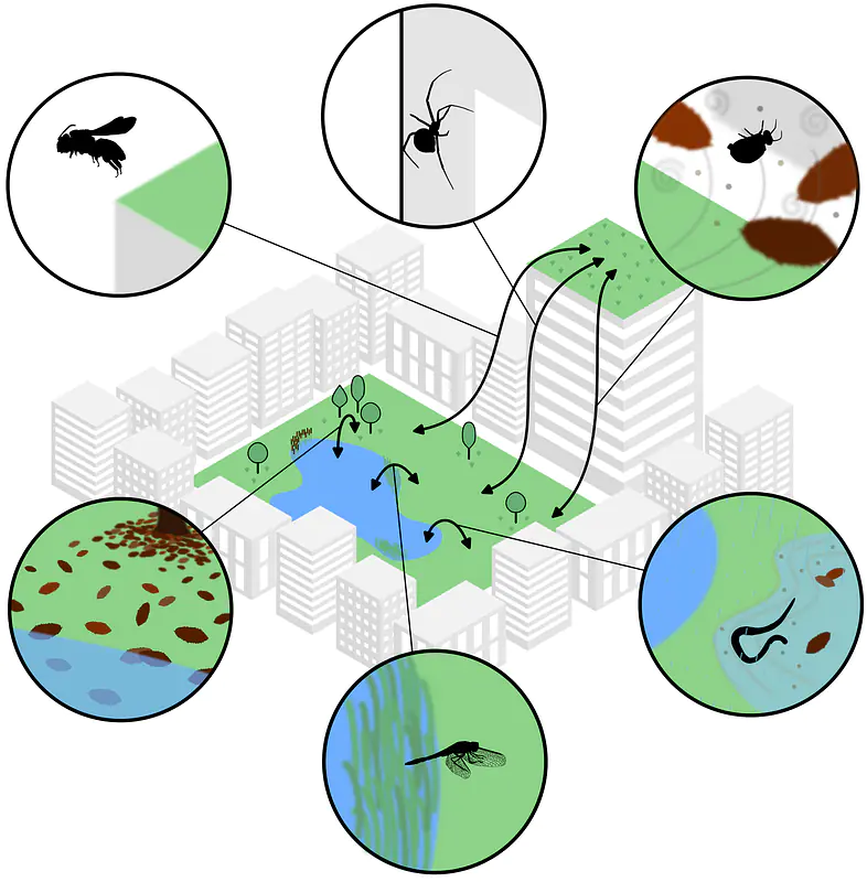 Figure from my PhD thesis