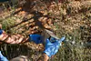 Releasing a kangaroo rat from a Sherman trap