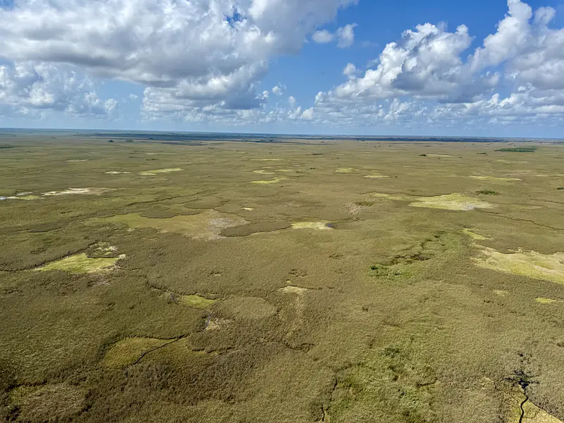 Everglades National Park - May 2025