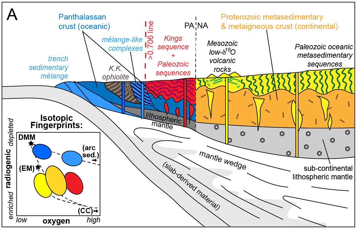 A cartoon of the Mesozoic subduction zone that formed the Sierra Nevada, showing that mafic intrusions inherit the isotopic fingerprint of their local crustal column.