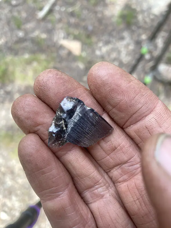 Initially thinking I was helping pick up trash to Leave No Trace, and quickly realizing that this was a chip of obsidian in the high Sierra in Kings Canyon National Park – reported this evidence of trade among the Nüümü/Paiute and Yokuts People across the mountain range.