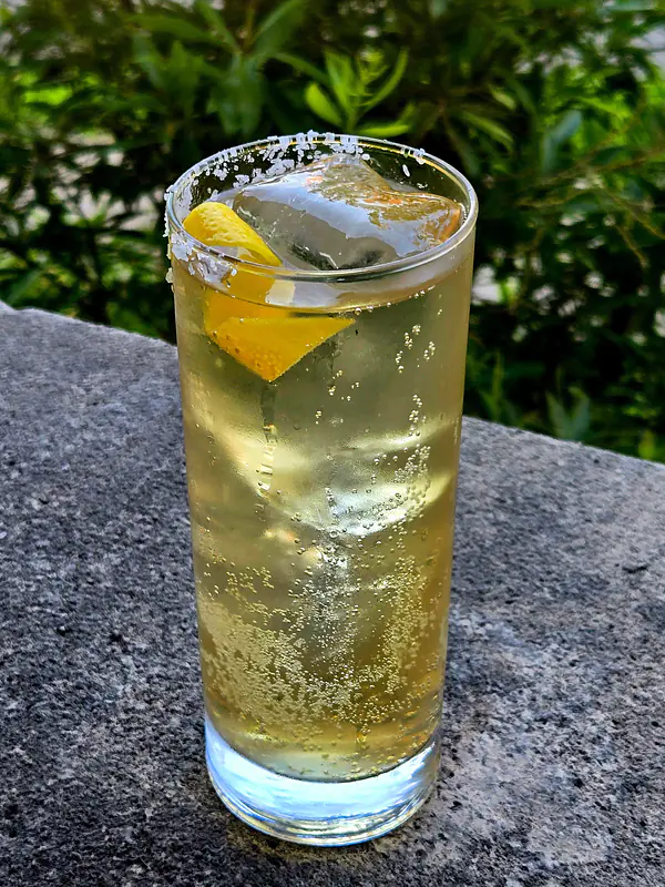 Tropic of Winston - Tropical Scotch Highball