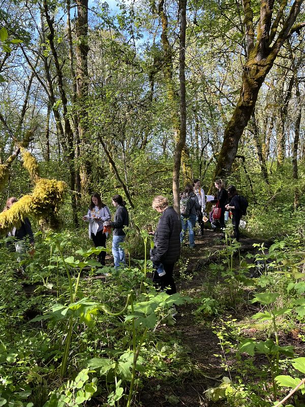 Several students observe plants in a forest on a sunny day