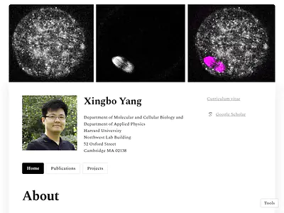 Xingbo Yang