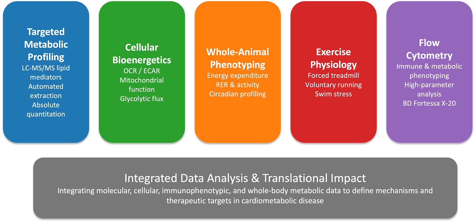 Image representing the organization of the various components of the Metabolic Phenotyping Core.