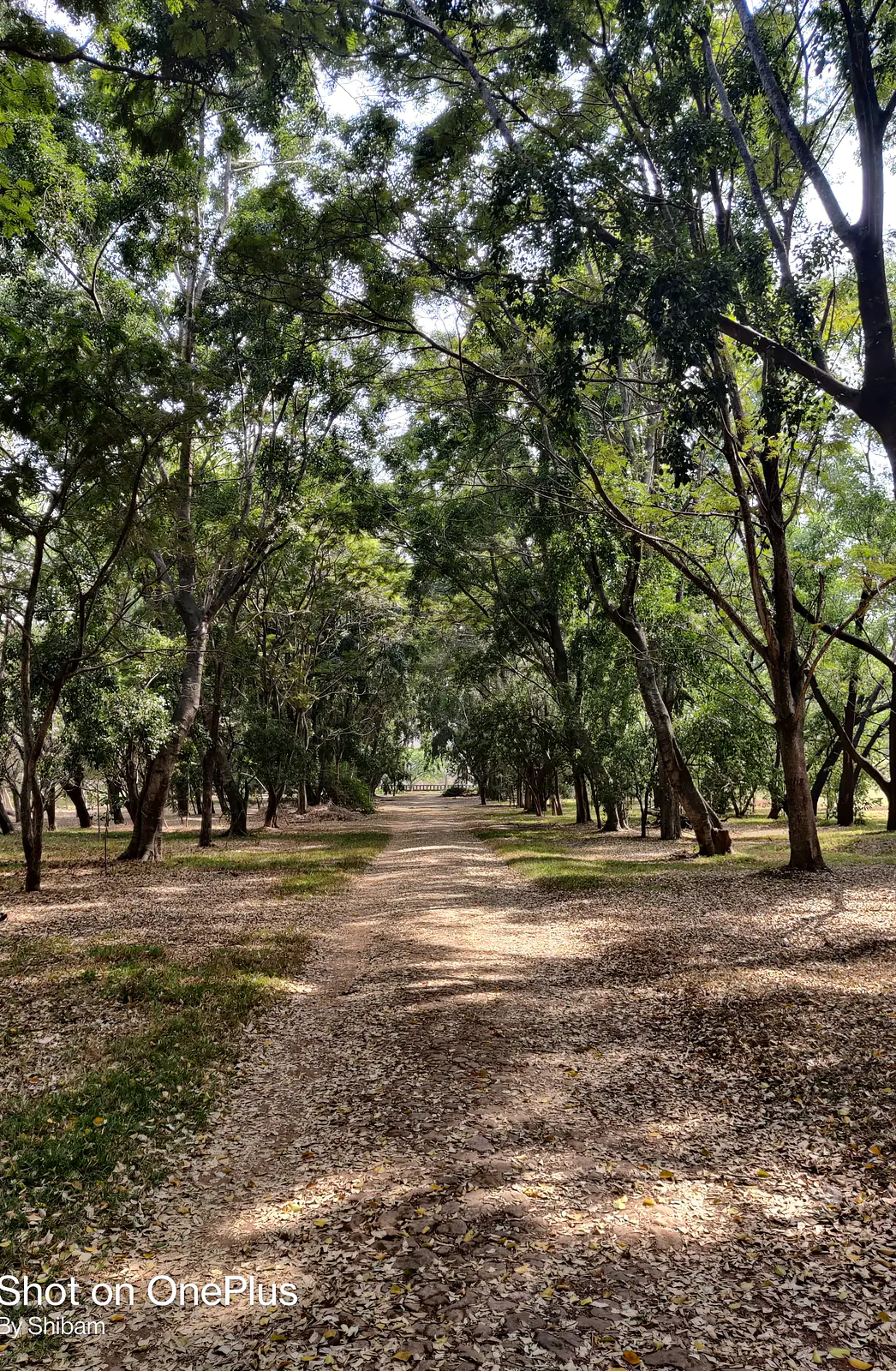 Oh! Dear IISc