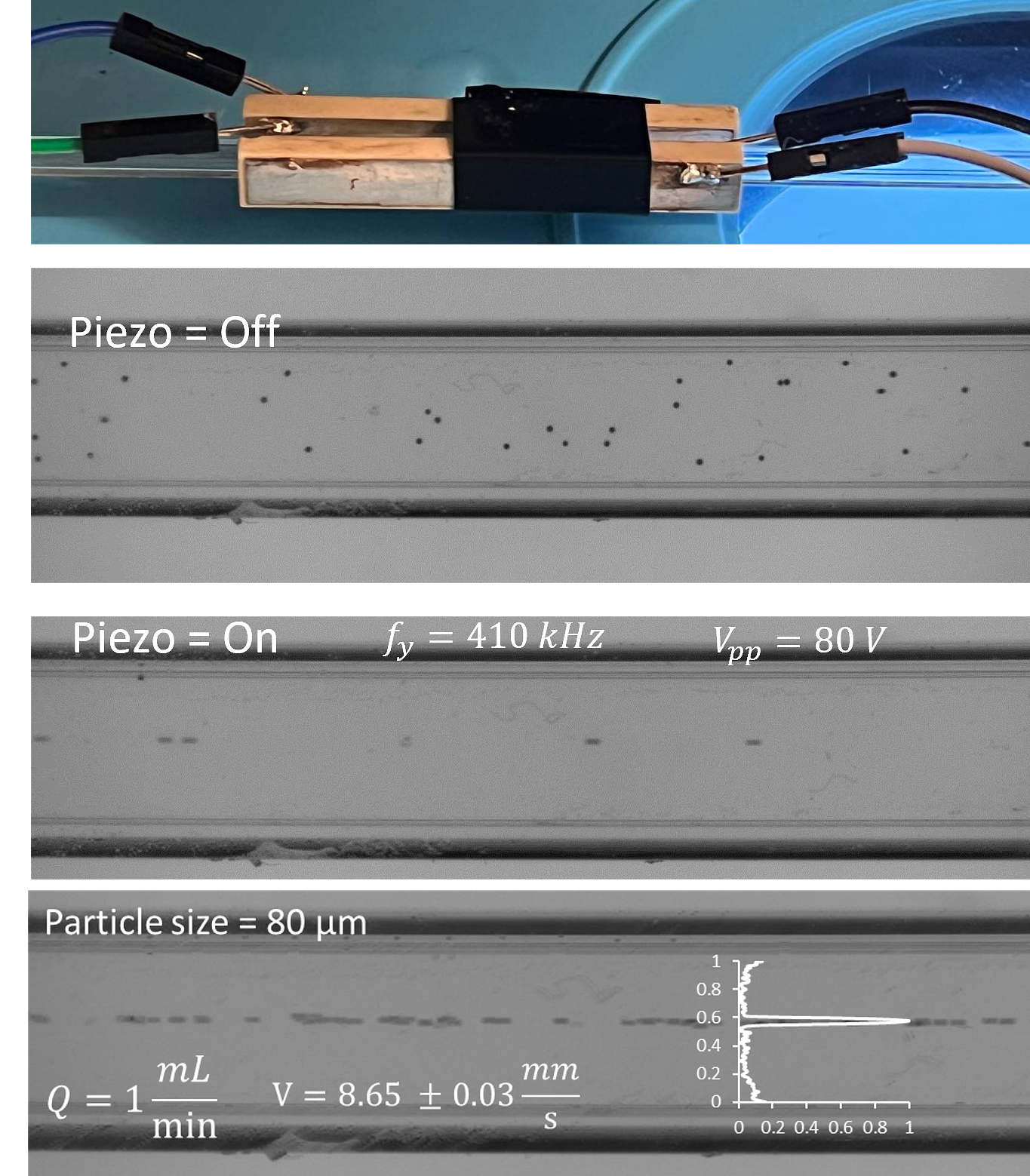Acoustofluidic flow cell developed with Ocean Diagnostics Inc. for microplastic focusing in ocean water. The figure shows random microplastic distribution when the piezo is off, and center-focused alignment when actuated.