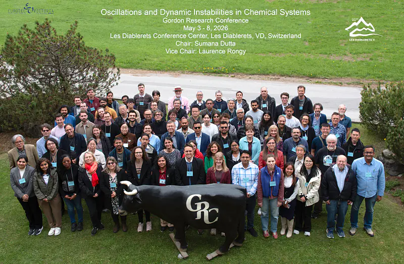 GRC 2026: Oscillations and Dynamic Instabilities in Chemical Systems.