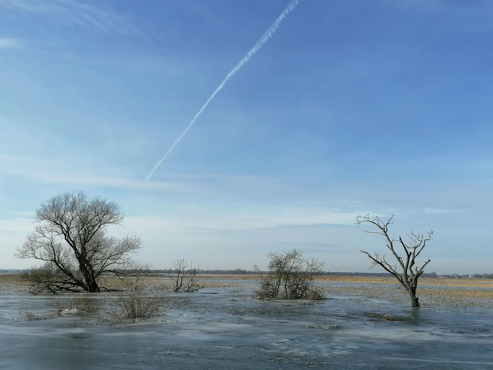 Germany, Brandenburg (2021): View from a levee towards frozen floodplains in the Lower Oder Valley International Park