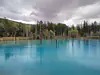 Japan, Hokkaido, Biei (2023): The Shirogane Blue Pond, an artificial lake famous for the bright blue color created by light scattered from aluminum-enriched volcanic groundwater
