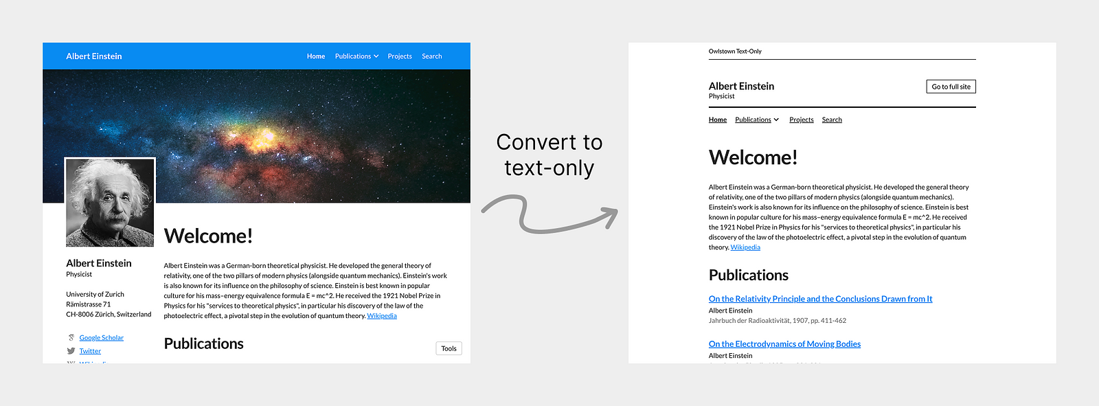 Convert your Owlstown website to a text-only version