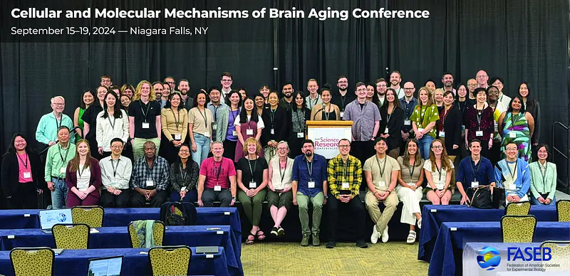 FASEB Cellular and Molecular Mechanisms of Brain Aging Conference (2024)