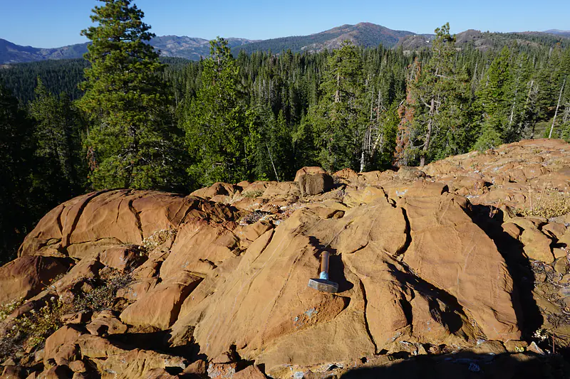 Dunite formed as a cumulate in the upper crust by subduction-zone magmatism.