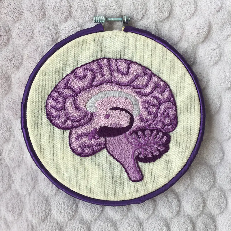Purple Sagittal Monochrome