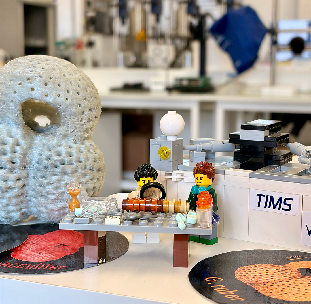 Huge 3D printed foraminifera next to tiny lego characters representing SUÁREZ-IBARRA and Tom CHALK working at the exocean lab and analyzing a core samples