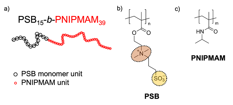 The figure has three subfigures a, b, and c. A shows the exemplified chemical structure of a diblock copolymer. B and C show the chemical structure of a poly(sulfobetaine) and PNIPMAM, respectively. Figure by Lucas Kreuzer